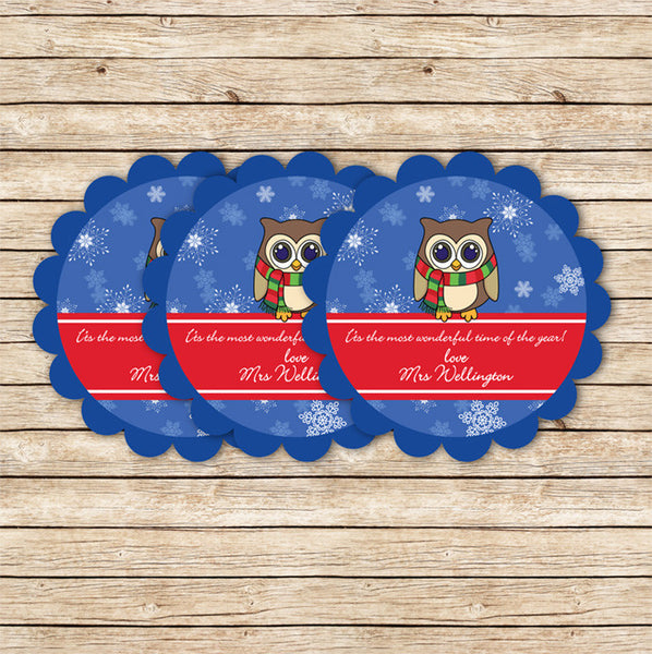 Christmas Owl sticker - Love my Goodies